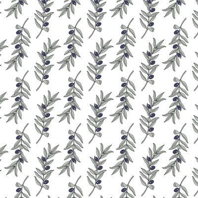 Чёрные оливки на ветке с листьями