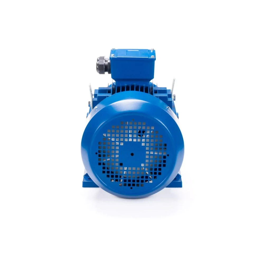 Электродвигатель ESQ 400 L4-SDN- 600/1500 IMB3