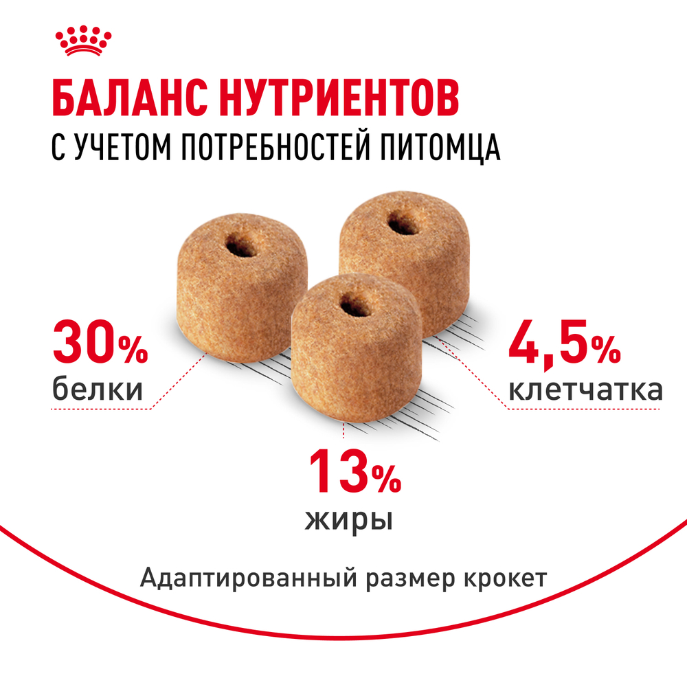 Сухой корм Royal Canin Labrador Retriever Adult для взрослых собак породы Лабрадор Ретривер от 15 месяцев 12кг