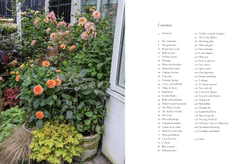 Containers in the Garden