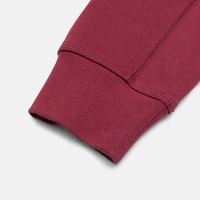  Толстовка мужская Carhartt WIP Hooded American Script артикул:I028279_malbec - купить в магазине Дайс