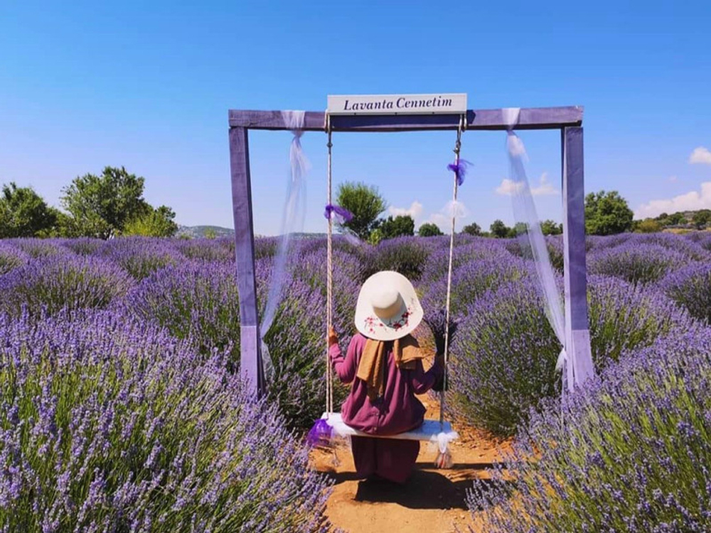 Лавандовые поля и озеро Салда