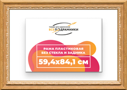 Рама 59,4x84,1 для картин и фотографий