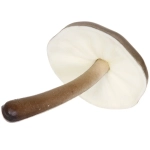 Фигура садовая «Гриб - Подберезовик» 14 см