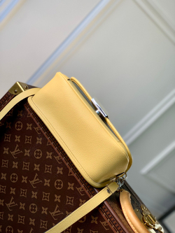 Louis Vuitton Buci Bag