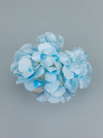 Гортензия Аннабель (голова)