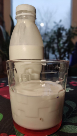 Йогурт из козьего молока