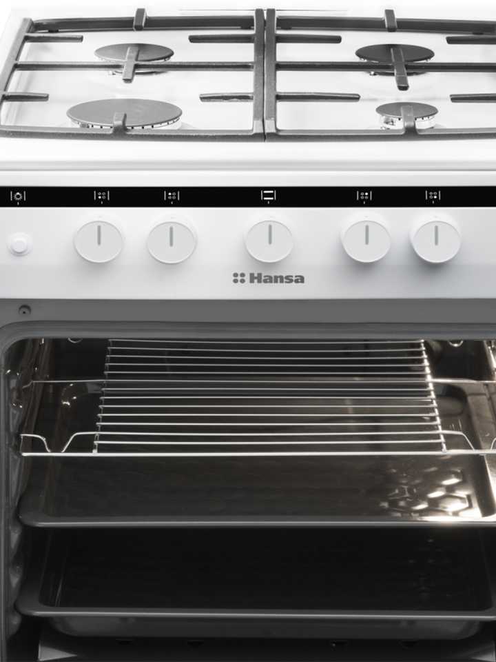 Газовая плита Hansa FCGW51050