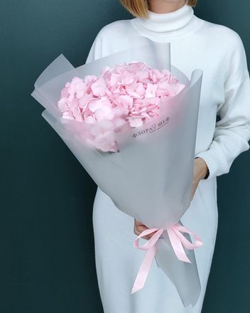 Гортензия