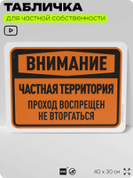 Табличка для частной территории "Внимание, частная территория", на дом, для участка, организаций, предупреждающая, 40х30 см, Silver Plane x Айдентика Технолоджи
