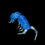 Рыболовные, силиконовые приманки. Рачки мормыш RuBaits Shrimp креветка. Набор для рыбалки на щуку, судака, окуня, форель. Зимняя рыбалка, микроджиг.