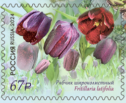 Марка номиналом 67 рублей. Серия «Флора России. К 100-летию Кавказского государственного заповедника»