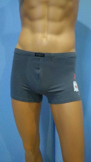 Шорты мужские ATLANTIC MH-1653