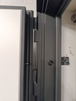 Стальная дверь "Plata"