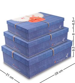 Packing Symphony WF-21-A Набор коробок из 3шт «Прямоугольник» цв.синий