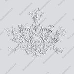 Наборная розетка Roslepnina RN-1564R