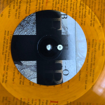 Lambchop / The Bible (Coloured Vinyl)(2LP)