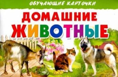 ЛИТУР ОбучКарточ Домашние животные