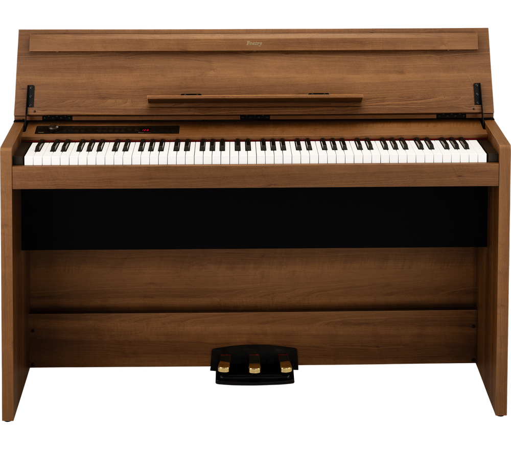 Korg Poetry Magnifique