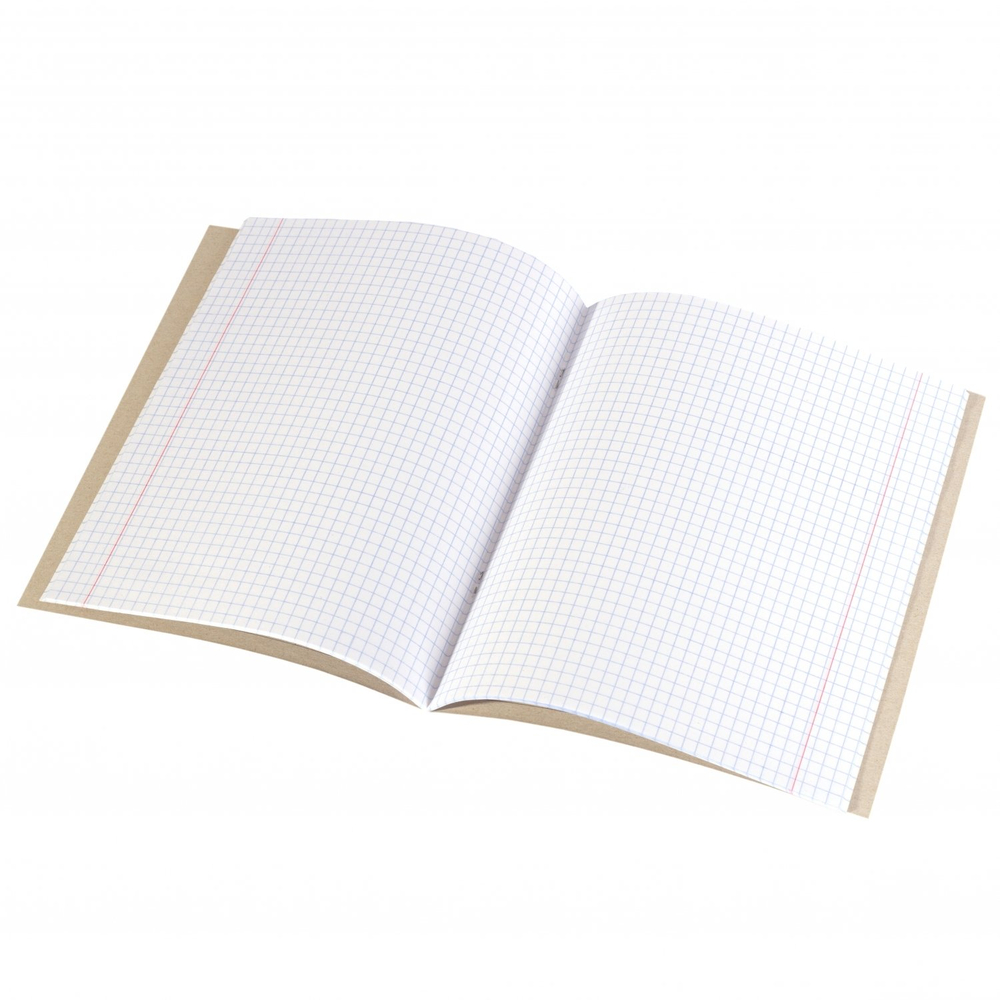 Тетрадь предметная 36л. А5 "Физика", клетка, со справочным материалом, скрепка, мелованный картон (стандарт), блок офсет, Alingar "Back to school"