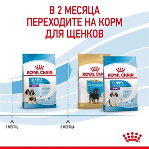 Сухой корм Royal Canin Giant Starter для щенков очень крупных размеров до 2 месяцев, беременных и кормящих сук