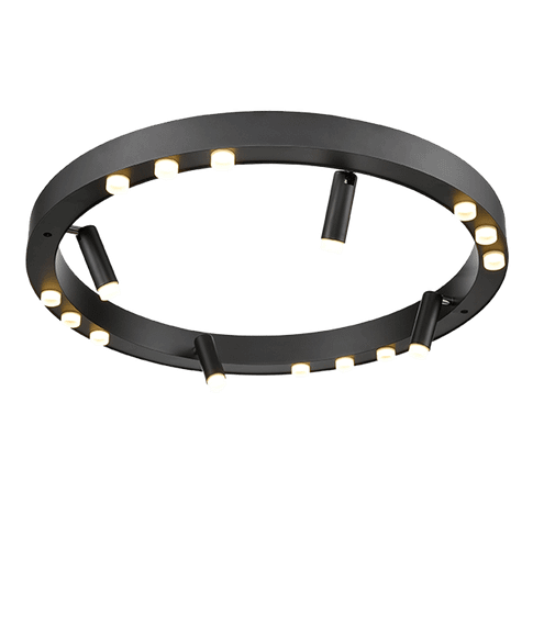 Потолочный светильник Vele Luce Satellite VL7172L12
