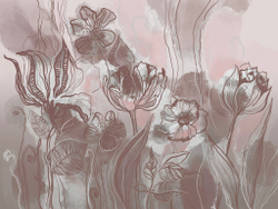 Коллекция ASTRAL 22