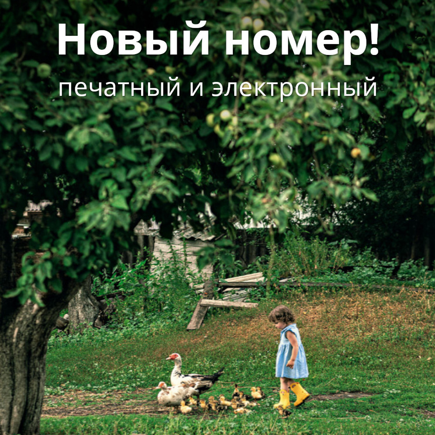 Журнал «Фома» № 8 (256) август 2024 г.