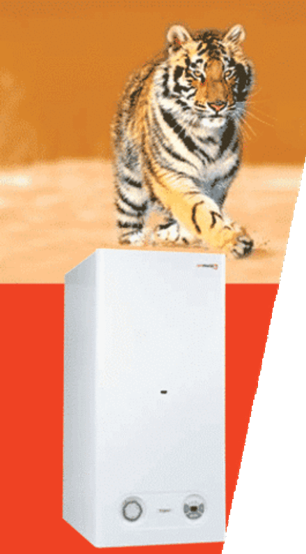 Настенный котел Тигр 12KTZ