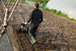 Культиватор Stihl MH 445 R