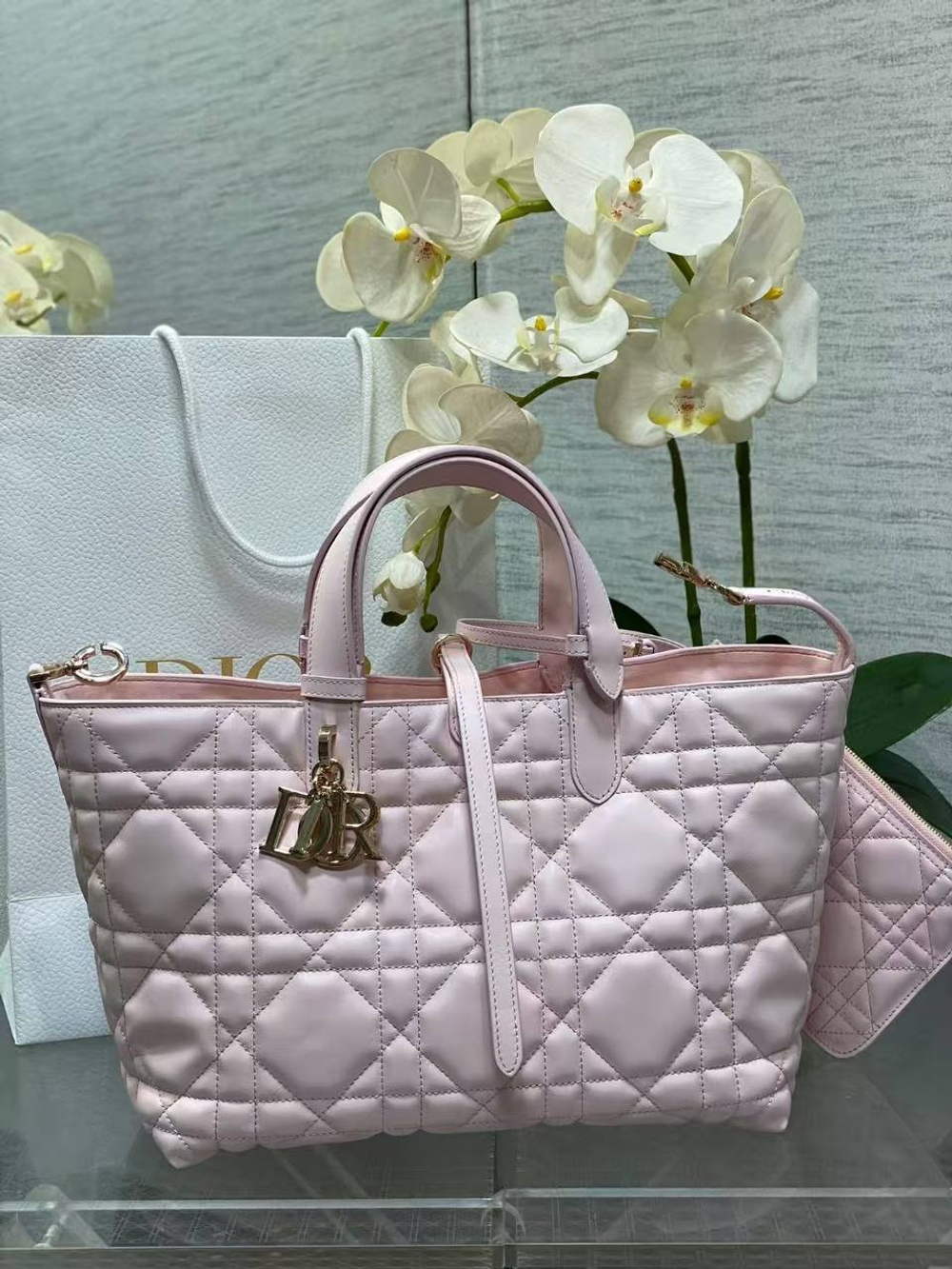Сумка Christian Dior