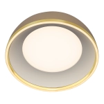 Потолочный светодиодный светильник Citilux Floom CL736152