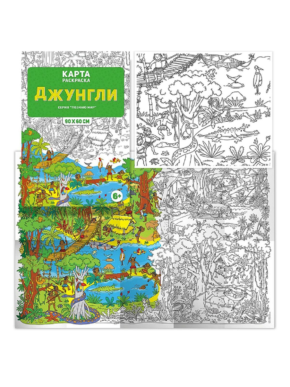 Раскраска в конверте. Джунгли. Серия Познаю мир