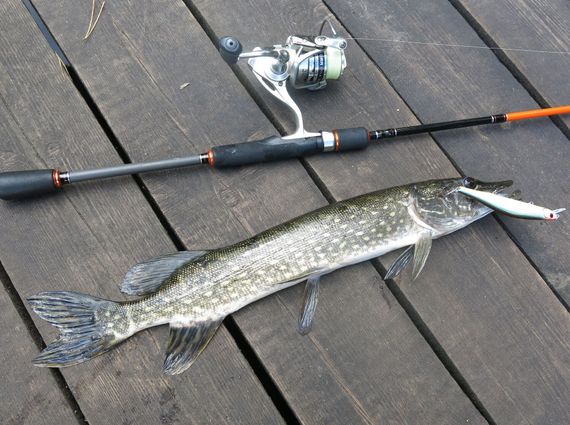 Воблер суспендеры LJ Original FIT MINNOW SP 11.00/311