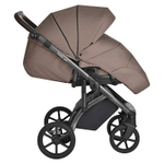 Детская коляска Roan Bass Next 2 в 1 RN231/1 Raisin Mood/Black