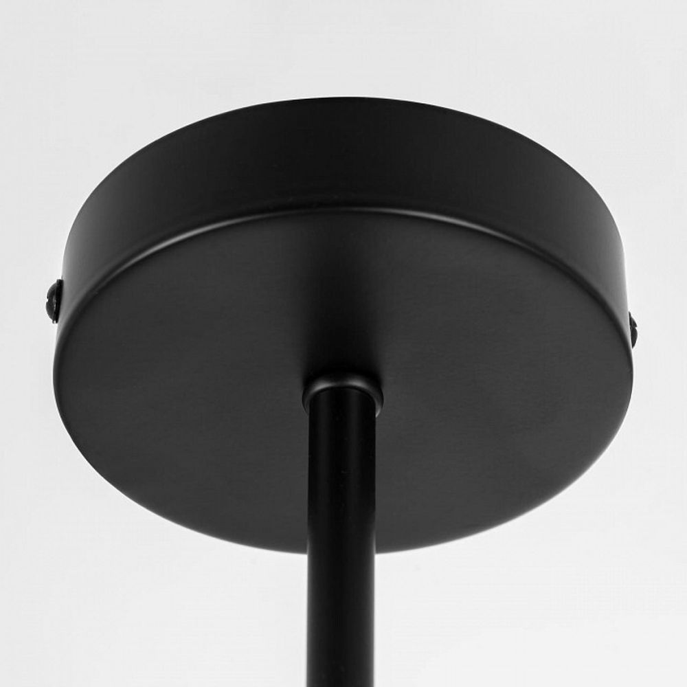 Люстра на штанге Citilux Fisher CL218163