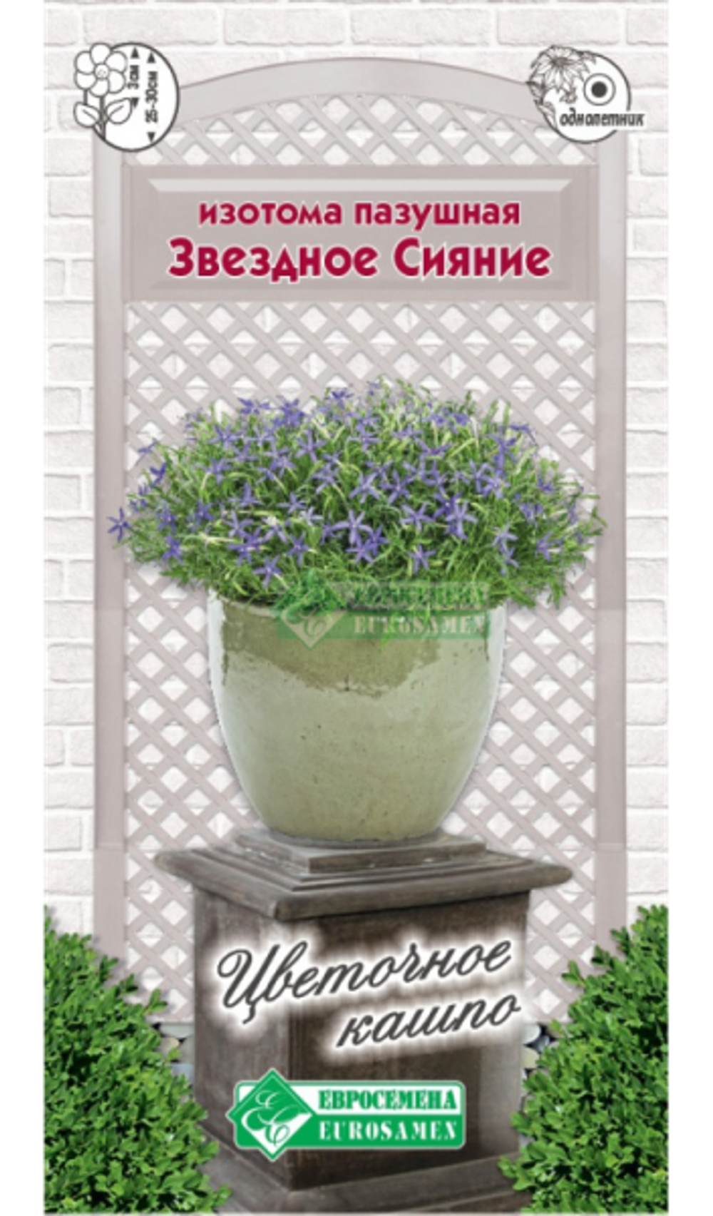 Изотома пазушная Звездное Сияние 5 шт. (ЕС)