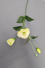 Эустома / Арт 2328