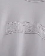 Купить Толстовка Anteater Crewneck BigText серая Толстовка Anteater Crewneck BigText серая