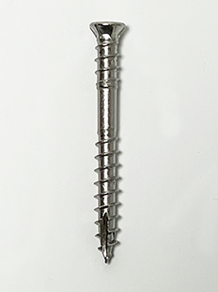 Cаморезы с двойной резьбой для строительства террас Tbs-drill A2 5,3x50 TX20 100 шт/упаковка