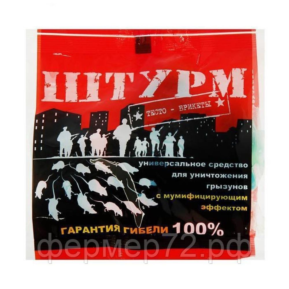 ШТУРМ тесто-брикеты 100 гр