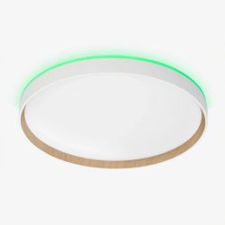 Citilux ETALON CL750400R LED RGB Светильник с пультом Белый+Бук