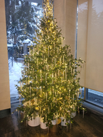 Дизайнерская ель «Хрустальный лёд»