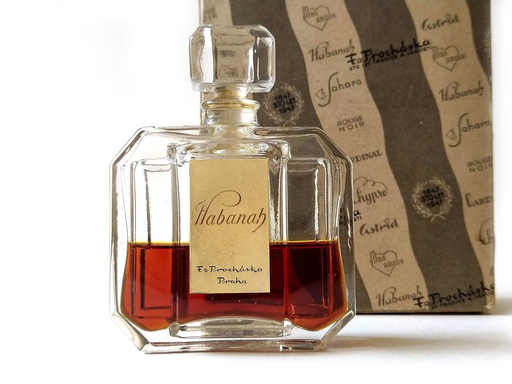 F.Prochaska Habanah