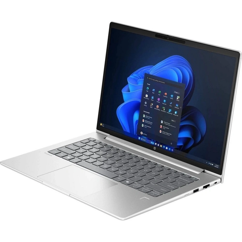 Ноутбук HP ProBook 4 G1a Wolf Pro Ryzen 7 250 16Gb SSD512Gb AMD Radeon Graphics 780M 14" WUXGA (1920x1200)/ENGKBD Windows 11 Pro silver WiFi BT Cam (BM2B2UT)