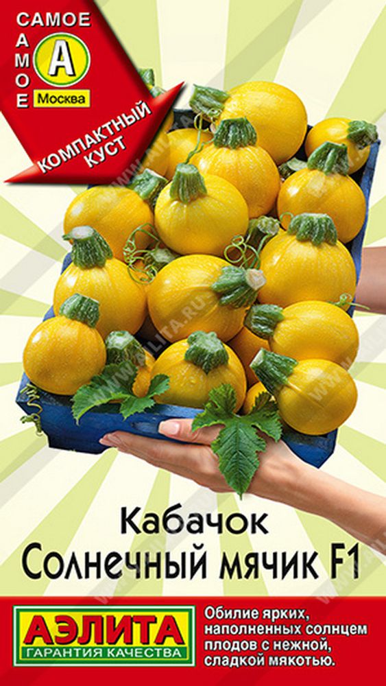 Кабачок &quot;G. Солнечный мячик F1 &quot; 5шт., Россия.