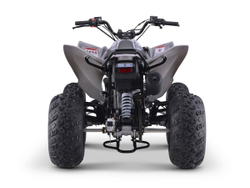 Квадроцикл SHARMAX Raizer Race Cup 250