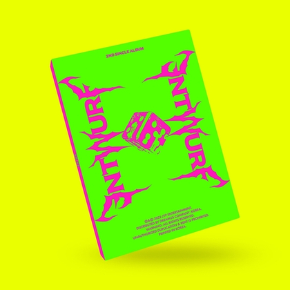 Альбом NMIXX - ENTWURF