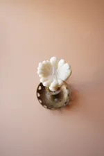 Свеча Unification Love Гриб Лисичка Белая (Дымчатый уд)