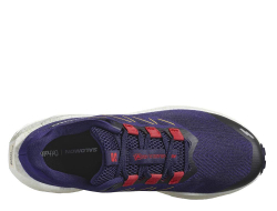 Кроссовки для бега мужские Salomon Aero Blaze 3 GRVL M Зеленовато-Фиолетовые
